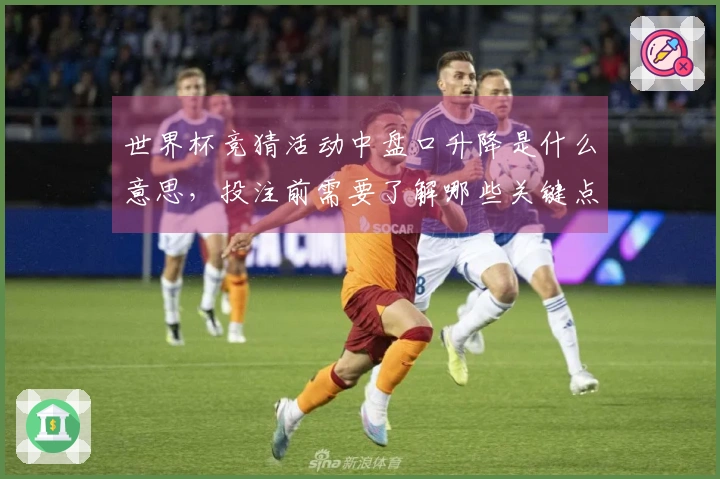 世界杯竞猜活动中盘口升降是什么意思，投注前需要了解哪些关键点？