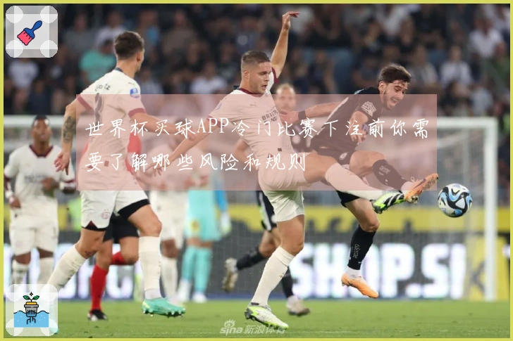 世界杯买球APP冷门比赛下注前你需要了解哪些风险和规则