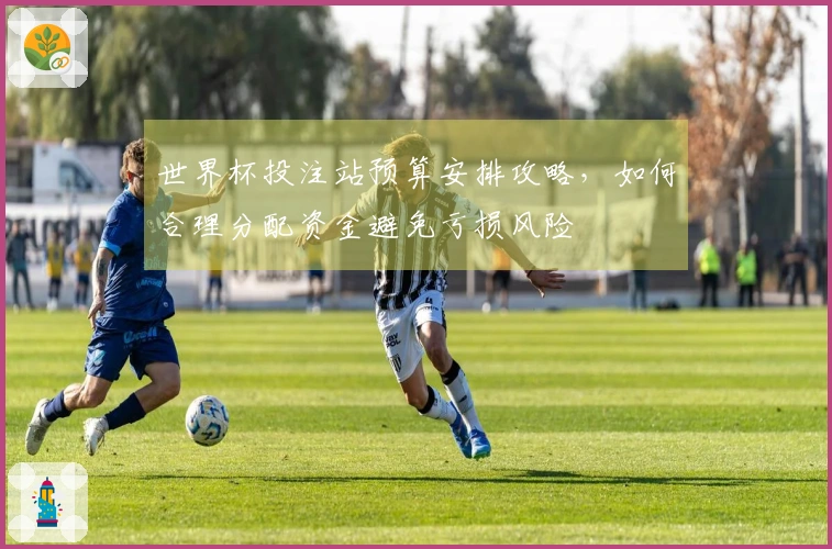 世界杯投注站预算安排攻略，如何合理分配资金避免亏损风险