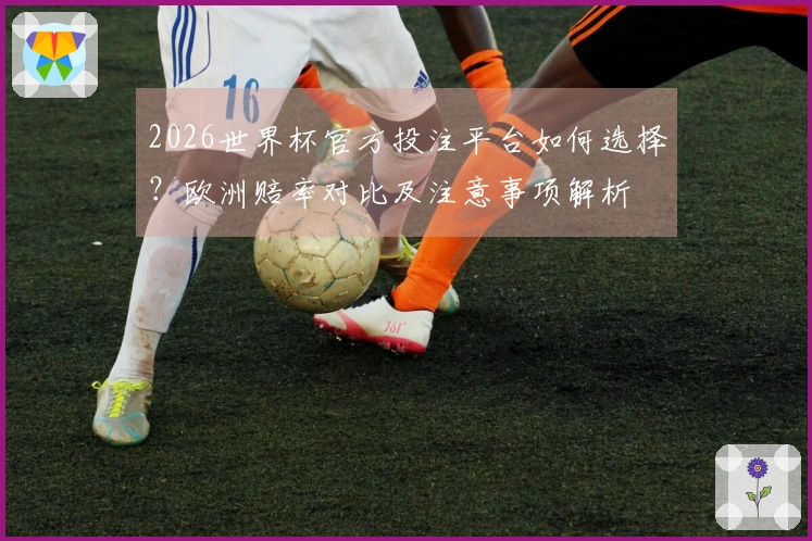 2026世界杯官方投注平台如何选择？欧洲赔率对比及注意事项解析